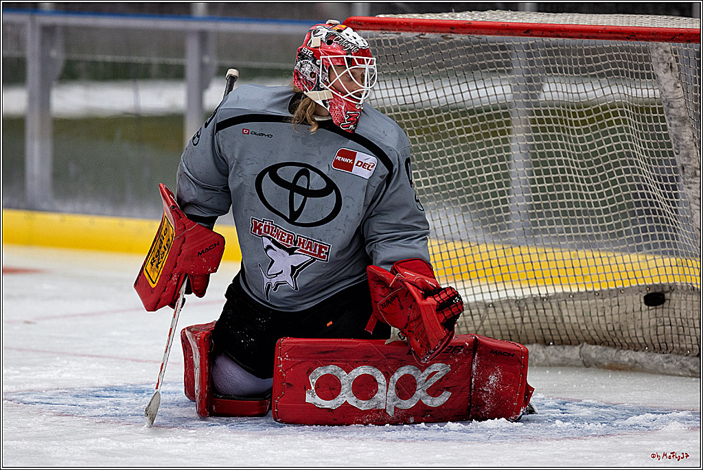 PENNY DEL WINTERGAME;  Kölner Haie Training; Köln, 02.12.2022